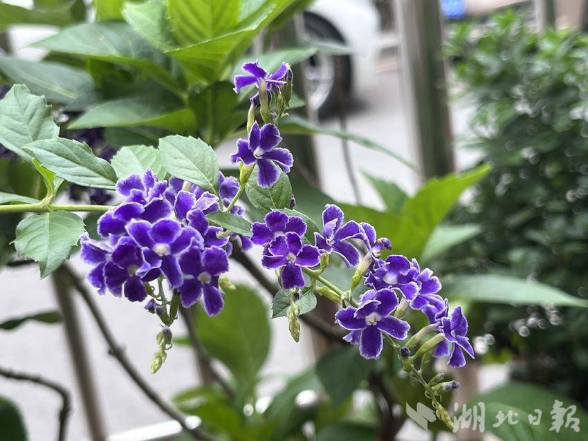 大玩家官网注册送28